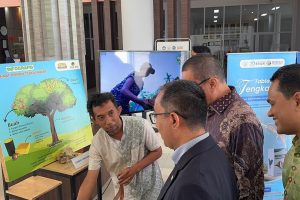 Tengkawang, Emas Hijau Kalbar untuk Kosmetik Alami dan Berkelanjutan